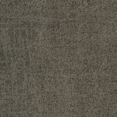 Beverly Hills in Sherman Oaks Carpet