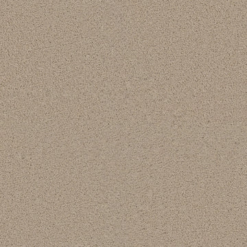 Eggshell