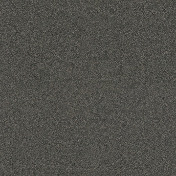 Electron