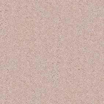 Ballet Pink
