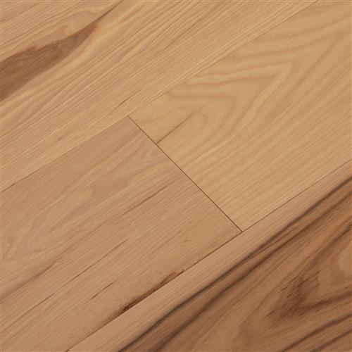 Odyssey in Helios-75