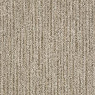 TB HIGHLIGHTER in Spice Cookie Carpet