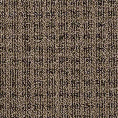 Sp663 in Perfect Rendering Carpet