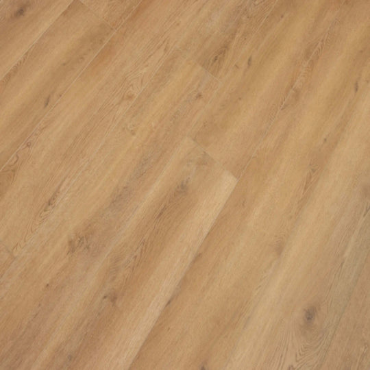 Legends Collection in Catamaran