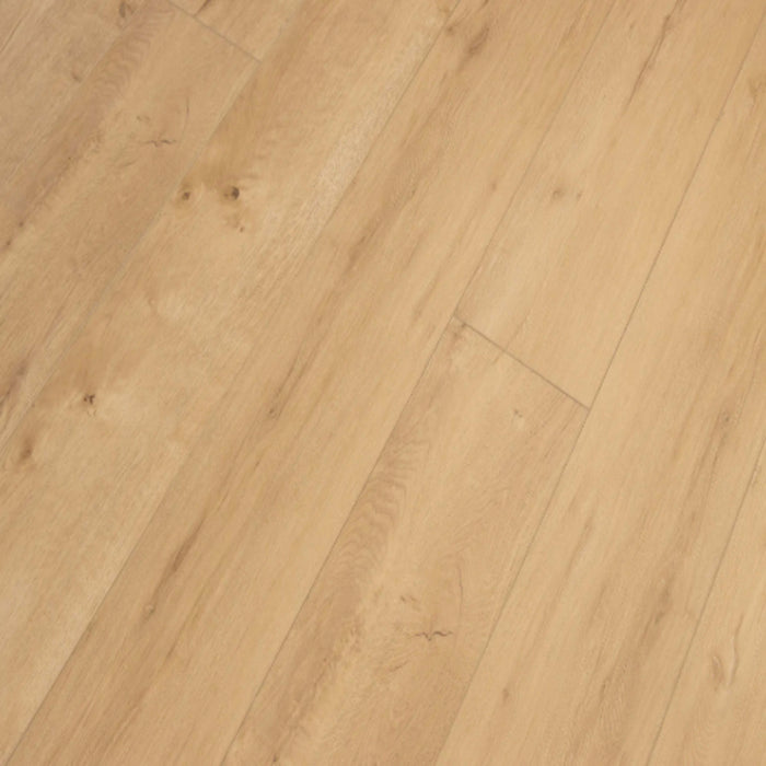 Legends Collection in Hidden Palm Luxury Vinyl