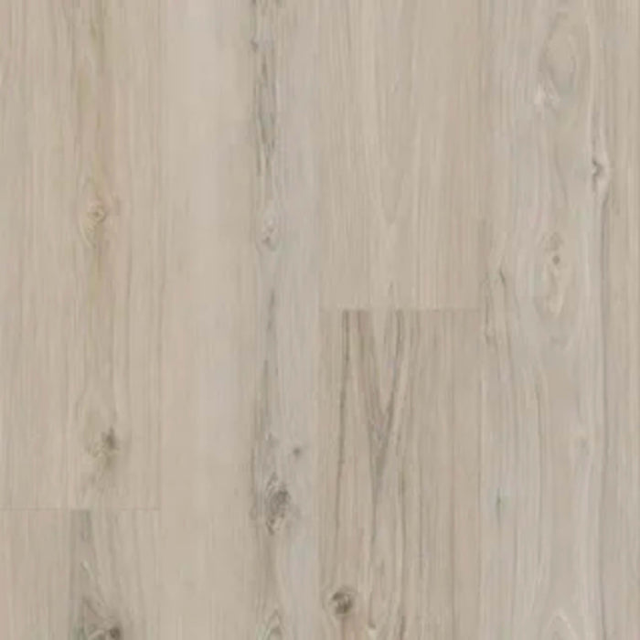 Laguna Collection in Whale Watch Luxury Vinyl