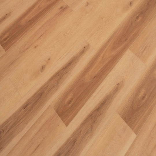 Windansea Low Tide Collection in South Seas