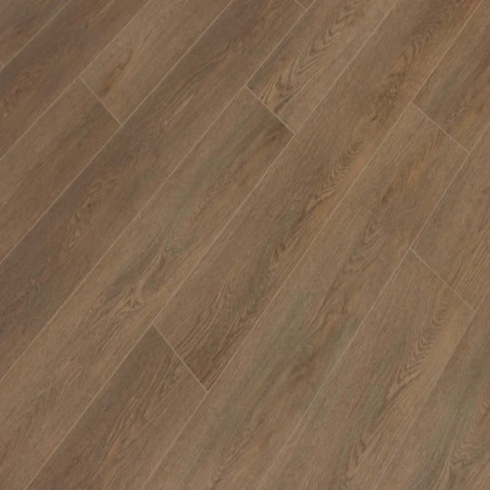 Windansea Low Tide Collection in Sea Scallop