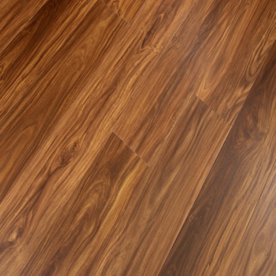 Windansea High Tide Collection in Classic Acacia