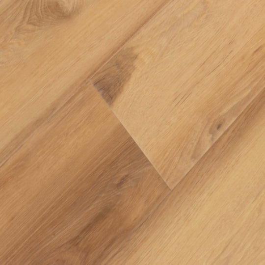 Windansea High Tide Collection in South Seas Oak