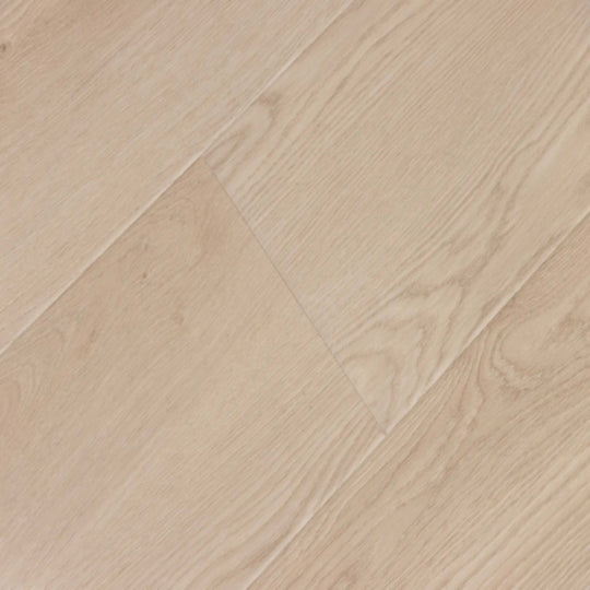 Windansea High Tide Collection in Hermosa Coast