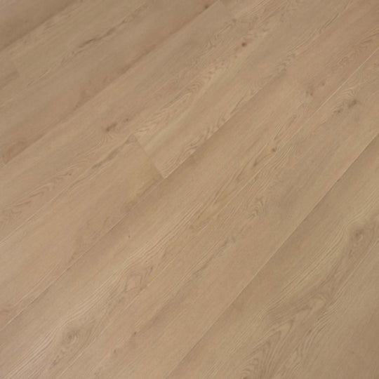 Windansea High Tide Collection in Del Mar Drift