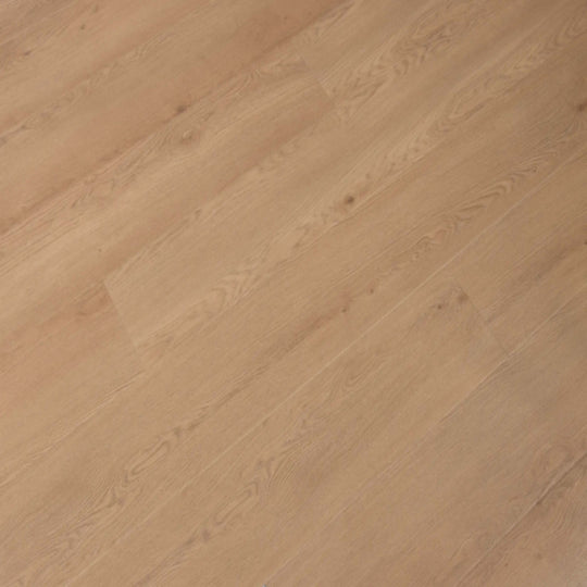 Windansea High Tide Collection in Belmont Bluffs