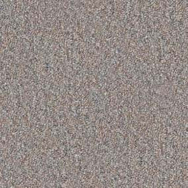 Ackerman in Wingate Stone Carpet