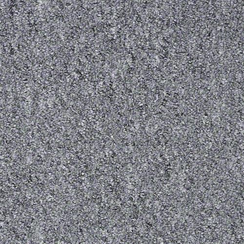 Sp682 in Freedom Carpet