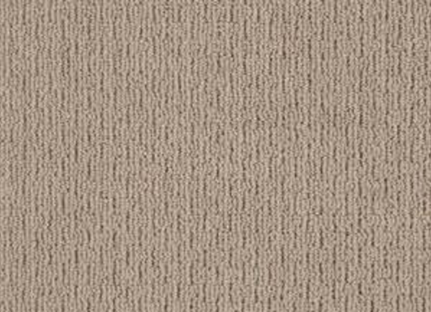 City Charmer in Sable Carpet