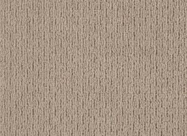 City Charmer in Sable Carpet