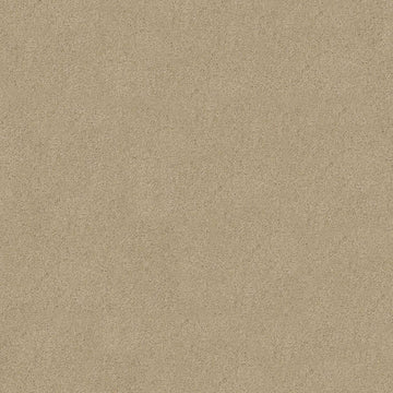 Chic Cream