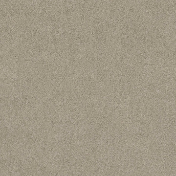 Gray Whisper