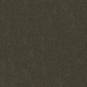 Worn Pewter