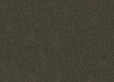 DREAMS I in Worn Pewter Carpet