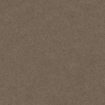 Simply Taupe