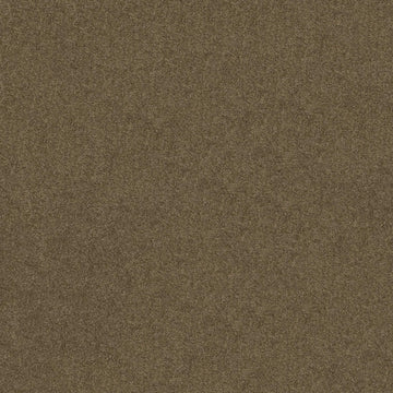 Vicuna