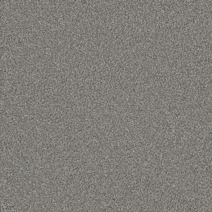 Monte Carlo III