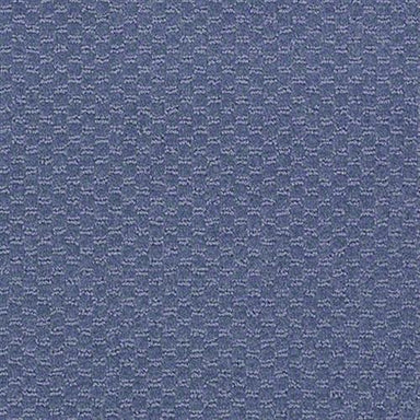 FORTE in Regal Carpet