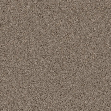 Mocha