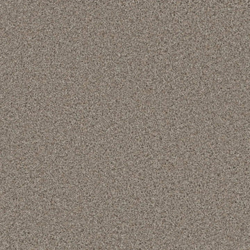 Iron Frost
