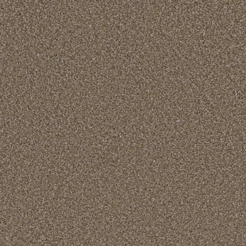 Acorn