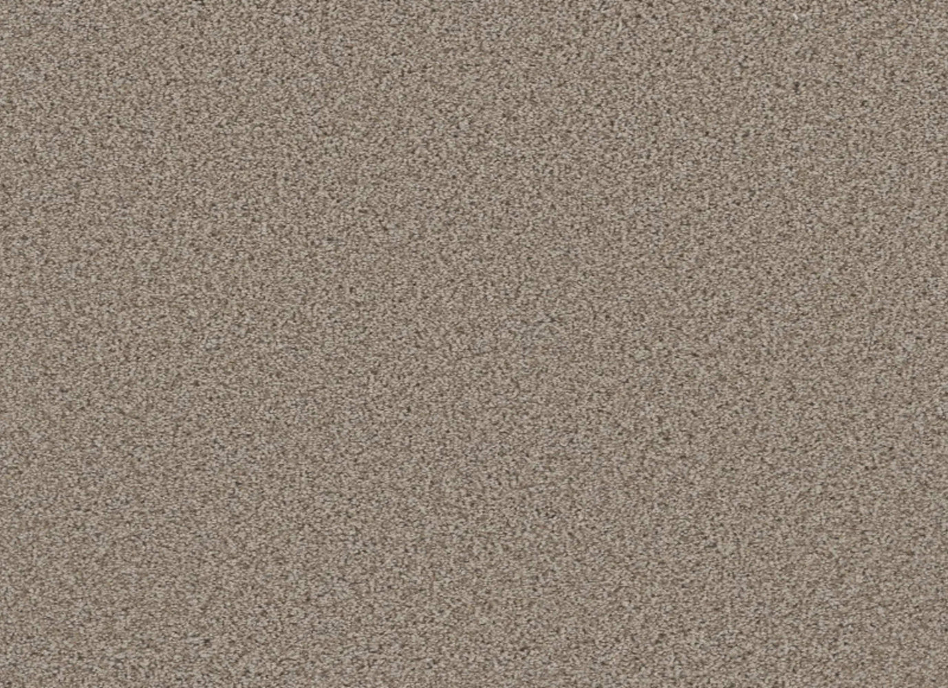 METROPOLITAN II in Stucco Carpet