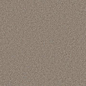 Stucco