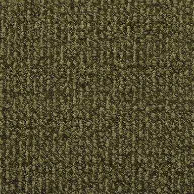 Donegal in Sage Leaf Carpet