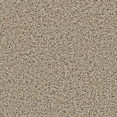 COSMOPOLITAN II in Ginger Carpet