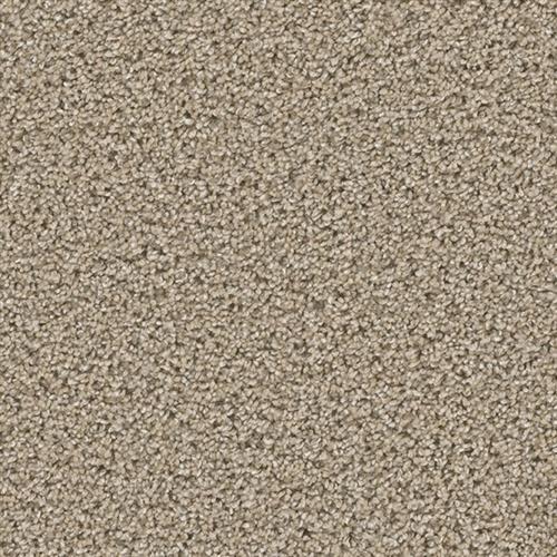 COSMOPOLITAN II in Ginger Carpet