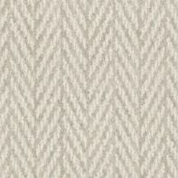 Silver Spruce