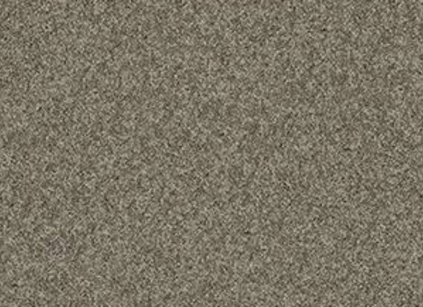 TB ENDURING COMFORT III in Grey Flannel Carpet