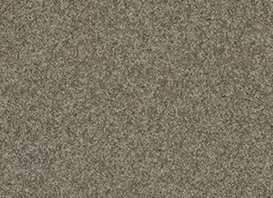 TB ENDURING COMFORT III in Grey Flannel Carpet