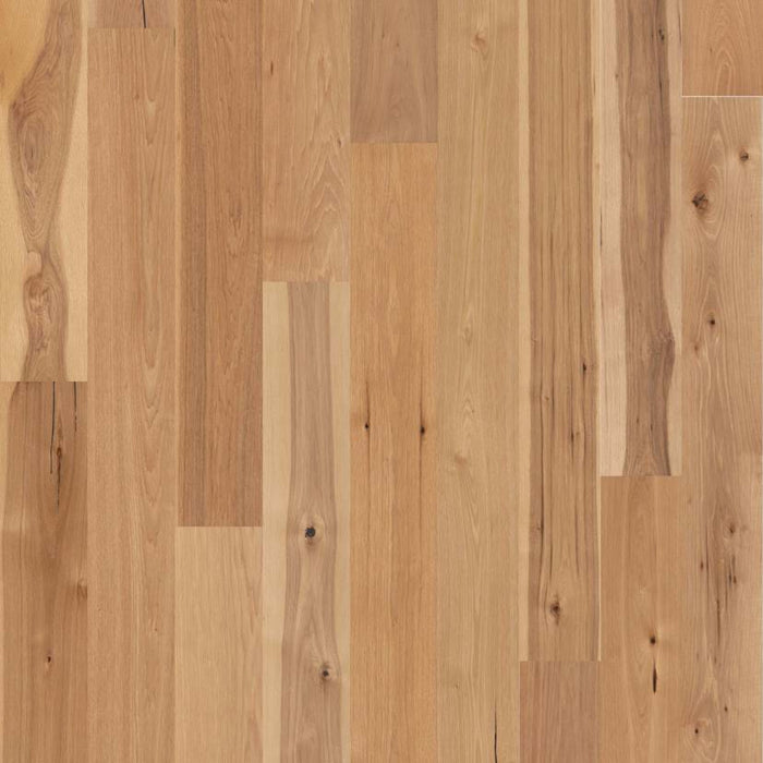 HARTSELL HICKORY in Coat Of Arms Hardwood