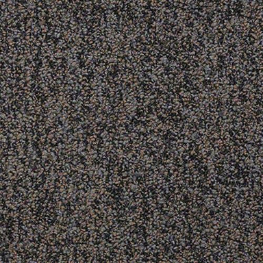 Sp681 in Stay Active Carpet