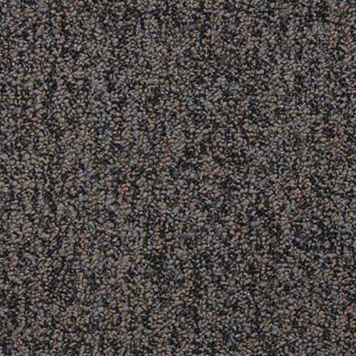 Sp681 in Stay Active Carpet