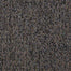 Sp681 in Stay Active Carpet