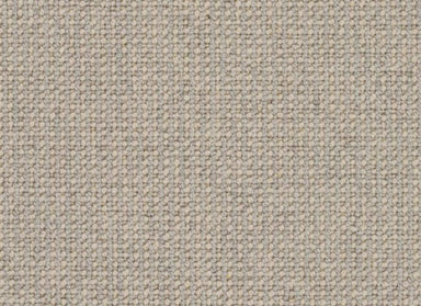 Perception in Oat Carpet