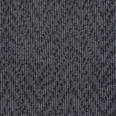 Winston in Charcoal Carpet