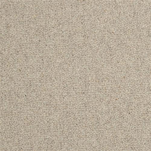 Wexford in Monahan Carpet