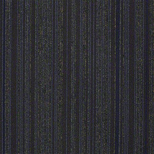 Sp210 in Electrify Carpet