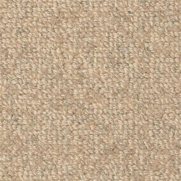 Taupe Tone