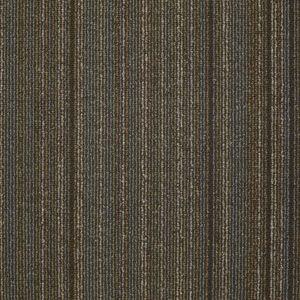 Wired in Energize Carpet